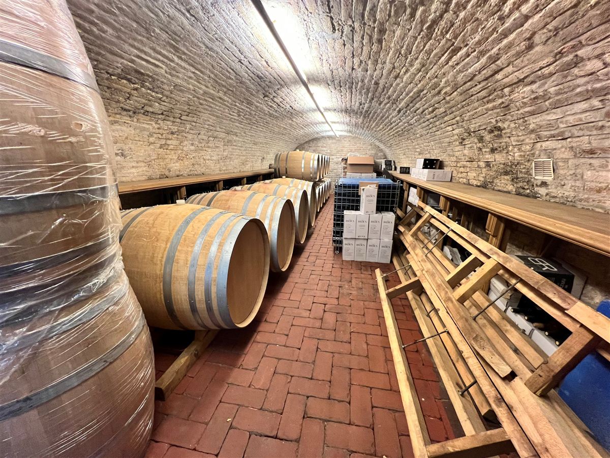 Oak barrels aging in the stone cellar at Brzica Winery — Erdut, Croatia